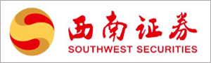  深圳东升国际官网数据科技有限公司